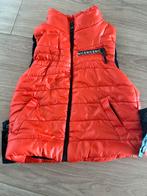 Vest , maat 86, Ophalen of Verzenden, Zo goed als nieuw, Truitje of Vestje