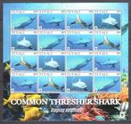 WWF postzegelvel van de Voshaai, Ophalen of Verzenden, Postfris, Dier of Natuur