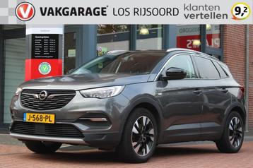 OPEL Grandland X 1.2 Turbo *Executive* | Trekhaak | Camera | beschikbaar voor biedingen