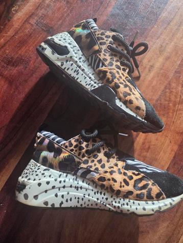 Steve Madden Sneakers Maat 35 beschikbaar voor biedingen