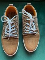 Z g a nieuwe Brunotti sneakers maat 39, Kleding | Dames, Schoenen, Bruin, Ophalen of Verzenden, Brunotti, Sneakers of Gympen