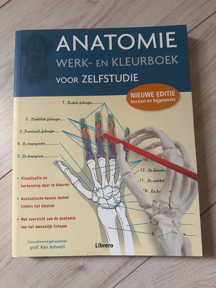 Anatomie Werk- en Kleurboek, Boeken, Studieboeken en Cursussen, Zo goed als nieuw, Niet van toepassing, Beta, Ophalen of Verzenden