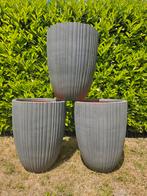50% korting Capi Europe Vaas elegant laag Tube NL 46x58, Kunststof, 40 cm of meer, Rond, Nieuw