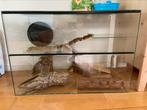 Terrarium hamster, Dieren en Toebehoren, Ophalen, Gebruikt, Terrarium of Paludarium