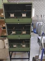 Heesakkers kooien, Ophalen, Zo goed als nieuw, Hout, Vogelkooi