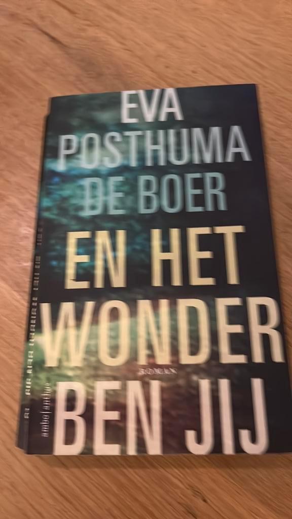Eva Posthuma de Boer - En het wonder ben jij, Boeken, Literatuur, Zo goed als nieuw, Ophalen of Verzenden