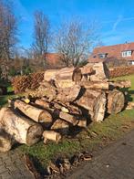 Haardhout stamhout openhaardhout, Tuin en Terras, Haardhout, 6 m³ of meer, Ophalen of Verzenden, Overige houtsoorten, Stammen