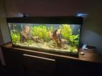 Te koop Jewel 240 aquarium, Ophalen, Zo goed als nieuw