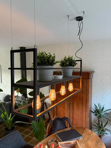 Industriële Hanglamp met Plantenbak beschikbaar voor biedingen