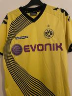 Borussia Dortmund 2011-2012 Shirt, Shirt, Ophalen of Verzenden, Zo goed als nieuw, Ajax