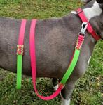 Honden lijn en halsband hexa, Dieren en Toebehoren, Ophalen of Verzenden, Gebruikt, Hondenriem