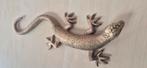 Leuke messing salamander, Antiek en Kunst, Verzenden