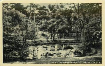 (388-405-049) Driebergen-Rijsenburg Vijver in t Bosch beschikbaar voor biedingen
