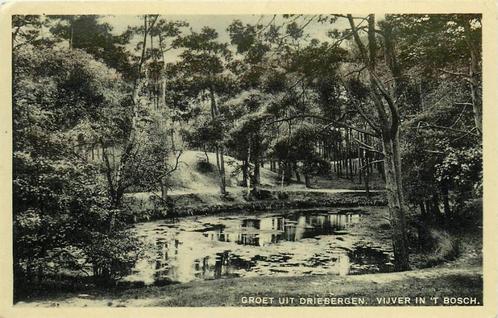(388-405-049) Driebergen-Rijsenburg Vijver in t Bosch, Verzamelen, Ansichtkaarten | Nederland, Utrecht, Verzenden