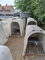 Kalveriglos, Dieren en Toebehoren, Meerdere dieren, Overige soorten