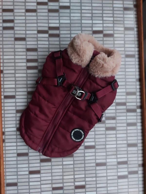 Puppia jas maat m, Dieren en Toebehoren, Hondenkleding, Zo goed als nieuw, Hondenjas, Ophalen