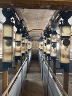 Opfok hokken [751], Boekhorst Trading, Info@boekhorsttrading.com, Singel 16, Horssen, Opfok