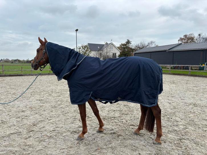 Winterdekens, Dieren en Toebehoren, Paarden en Pony's | Dekens en Dekjes, Zo goed als nieuw, Ophalen of Verzenden