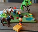 Playmobil 5457 Pony Weide met Hooikar, Ophalen of Verzenden, Zo goed als nieuw, Complete set