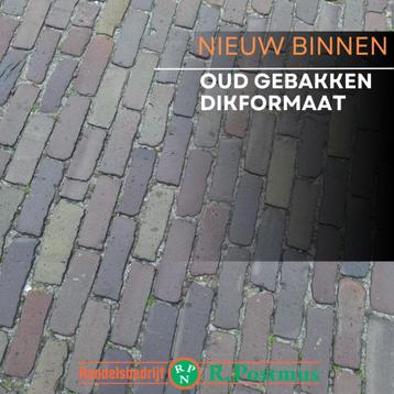Oud Gebakken Dikformaat (7 Duimers) beschikbaar voor biedingen