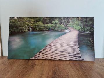 Schilderij natuur (80x40cm) beschikbaar voor biedingen