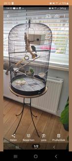 Vogelkooi, Dieren en Toebehoren, Ophalen of Verzenden, Zo goed als nieuw, Metaal, Vogelkooi