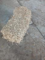 Erwten stro, Meerdere dieren, Postduif