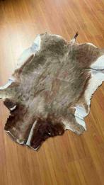 Koeienhuid vloerkleed 130/95, Gebruikt, Etten-Leur, DJT@dejuistetoon.eu, Ophalen of Verzenden