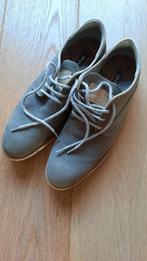 herenschoenen Brunotti grijs, Ophalen, Overige kleuren, Brunotti, Zo goed als nieuw