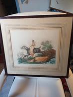 Te koop antieke handgekleurde prenten, Ophalen of Verzenden, 1960 tot 1980, Gebruikt, Natuur