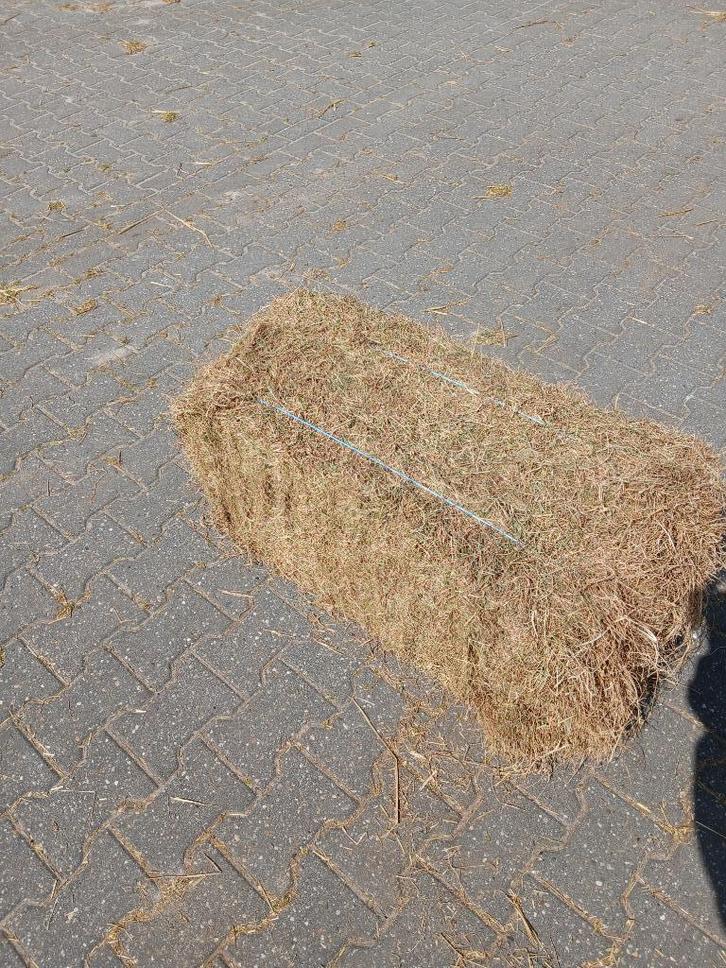hooi (kleine pakjes), Dieren en Toebehoren, Paarden en Pony's | Overige Paardenspullen, Nieuw, Overige soorten, Ophalen