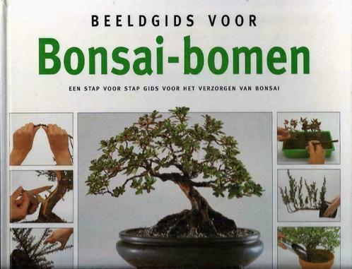 Beeldgids voor Bonsai-bomen - Colin Lewis & Neil Sutherland, Boeken, Wonen en Tuinieren, Zo goed als nieuw, Kamerplanten, Ophalen of Verzenden