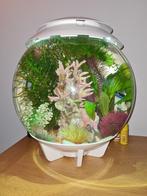 Biorb Halo 30 liter aquarium wit, Dieren en Toebehoren, Vissen | Aquaria en Toebehoren, Ophalen, Gebruikt, Leeg aquarium