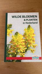 Wilde bloemen en planten boek, Ophalen of Verzenden, Zo goed als nieuw, Tuinieren en Tuinplanten