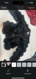 Zwarte bontjas - Stijlvol en warm, Kleding | Dames, Ophalen of Verzenden, Zo goed als nieuw, Maat 36 (S), Zwart