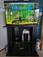 Aquarium met toebehoren, Dieren en Toebehoren, Vissen | Aquaria en Toebehoren, Ophalen, Zo goed als nieuw, Gevuld zoetwateraquarium