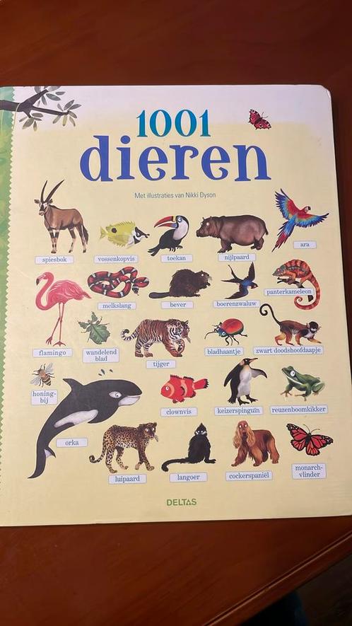 1001 dieren, Boeken, Kinderboeken | Jeugd | onder 10 jaar, Zo goed als nieuw, Ophalen of Verzenden