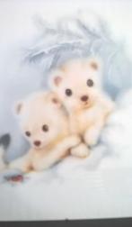 Grote wissellijst (met poster), Ophalen, Zo goed als nieuw