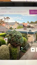 Stalen tuinhek, Tuin en Terras, Tuinhekken en Hekwerk, Ophalen of Verzenden, IJzer, Tuinhek