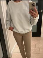 IRO Sweater M, Kleding | Dames, Truien en Vesten, Ophalen of Verzenden, Zo goed als nieuw, Grijs