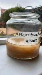 Prachtige SCOBY voor groene thee kombucha, Diversen, Levensmiddelen, Ophalen
