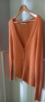 Alpaca wollen vest maat S, Oranje, Ophalen of Verzenden, Zo goed als nieuw, Steps