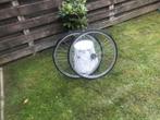 Set wielen 28 inch achterwiel terugtraprem band 28 x 1 1/2, Wiel, Gebruikt, Algemeen, Ophalen of Verzenden