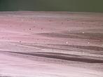 Prachtige rose klamboe, Ophalen, Zo goed als nieuw, Klamboe