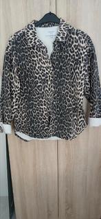 Nieuwe costes oversized leopard jasje mt m, Kleding | Dames, Bruin, Nieuw, Ophalen of Verzenden, Jasje