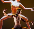 2 prachtige plaatsen Holland Festival Cyber Subin 12 juni, Tickets en Kaartjes, Evenementen en Festivals, Twee personen