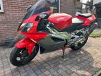 Aprilia rsv1000, Particulier