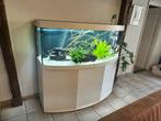 Aquarium Juwel 450, Ophalen, Gebruikt, Gevuld zoetwateraquarium