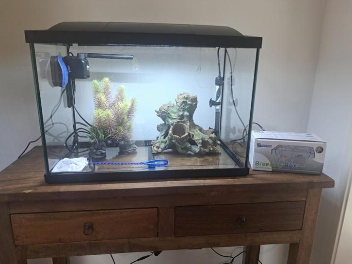 Aquarium starterset 70L, Dieren en Toebehoren, Vissen | Aquaria en Toebehoren, Zo goed als nieuw, Leeg aquarium, Ophalen