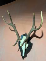 "HENDRICKX "  Herten Gewei op Hout., Ophalen, Gebruikt, Hert, Gewei of Kop